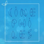 films à voir930_rideau-01