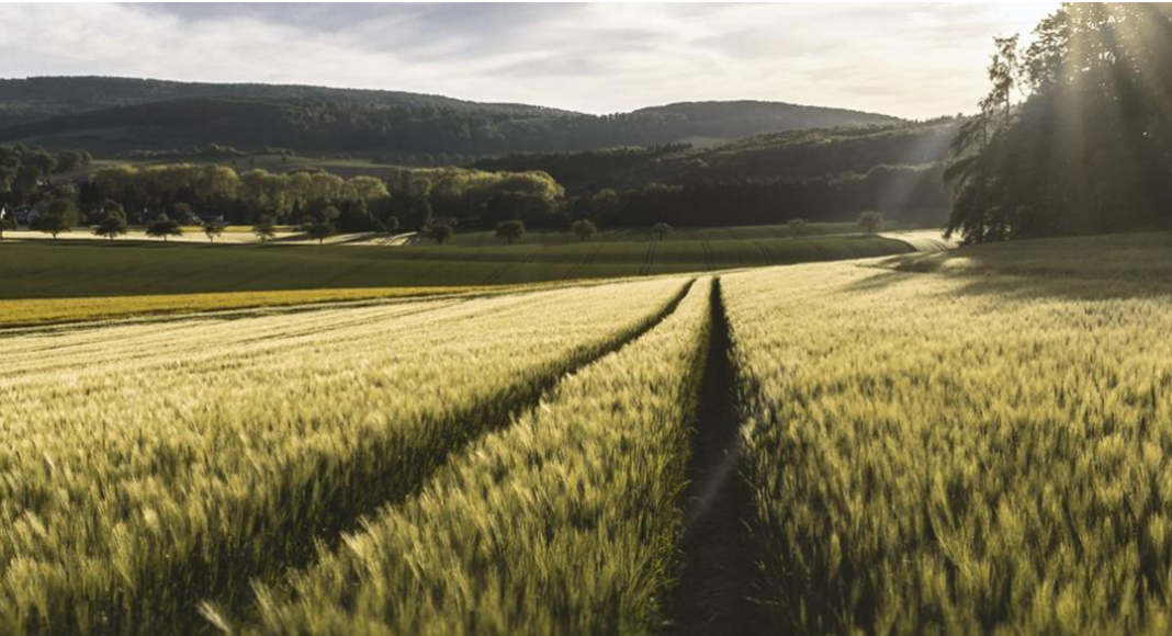 Faire face aux enjeux de santé de l’urgence climatique