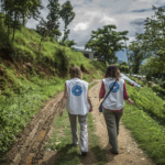 Népal 2015 – Olivier Papegnies