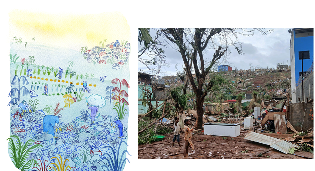 Les vœux de la Présidence et de la Direction Générale // MdM à Mayotte : point d’actualité