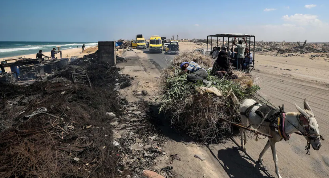 Journal de bord de Nour, notre psychologue à Gaza: « Pouvez-vous comprendre la cruauté de devoir se réjouir de miettes ? » Les Palestiniens fuient la ville de Gaza, qu'Israël veut occuper, pour le sud de l'enclave. A Nousseirat, jeudi 28 août. (Eyad Baba /AFP)