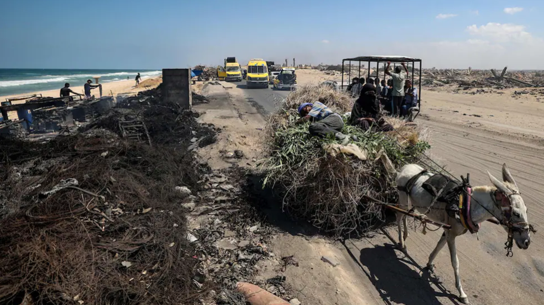 Palestinians flee Gaza City, which Israel wants to occupy, for the south of the enclave. In Nuseirat, Thursday 28 August. (Eyad Baba/AFP) by Nour Z. Jarada, Gazan psychologist for Médecins du Monde France